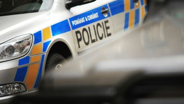 polícia česko (ČTK)